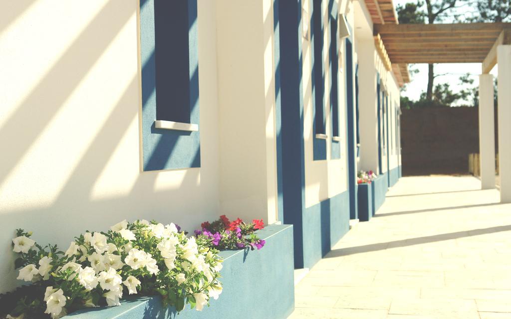 Casas Novas Da Fataca Villa Zambujeira do Mar Bagian luar foto
